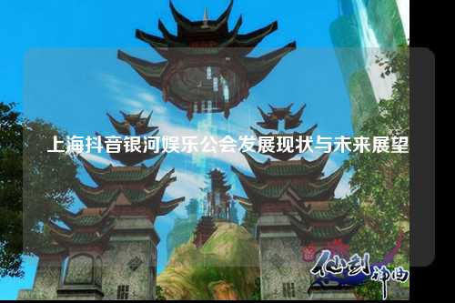 上海抖音银河娱乐公会发展现状与未来展望